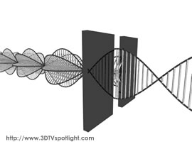 polarization of light